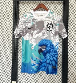 Brésil 2025 Concept