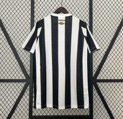 Alternative view of Santos 2024/25 Domicile