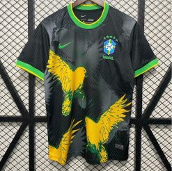 Brésil 2024 Concept