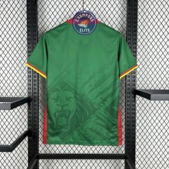 Alternative view of Cameroun 2025 Domicile