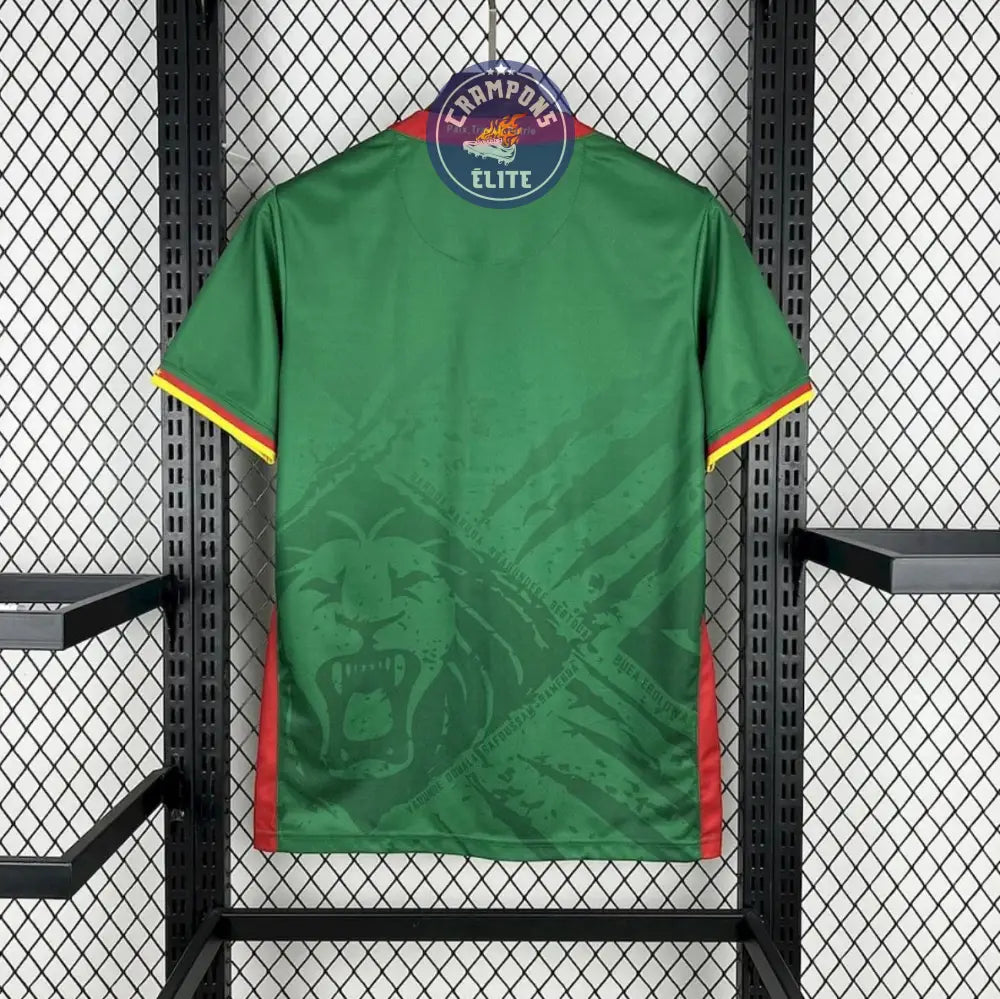 Cameroun 2025 Domicile – Image 2