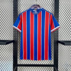 Alternative view of Crystal Palace 2025/26 Domicile