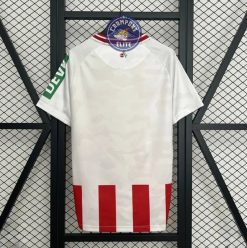 Alternative view of FC Cologne 2025/26 Domicile