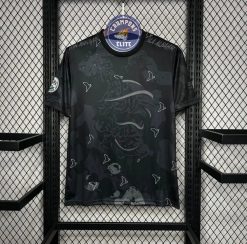 Alternative view of Palestine 2025 Concept